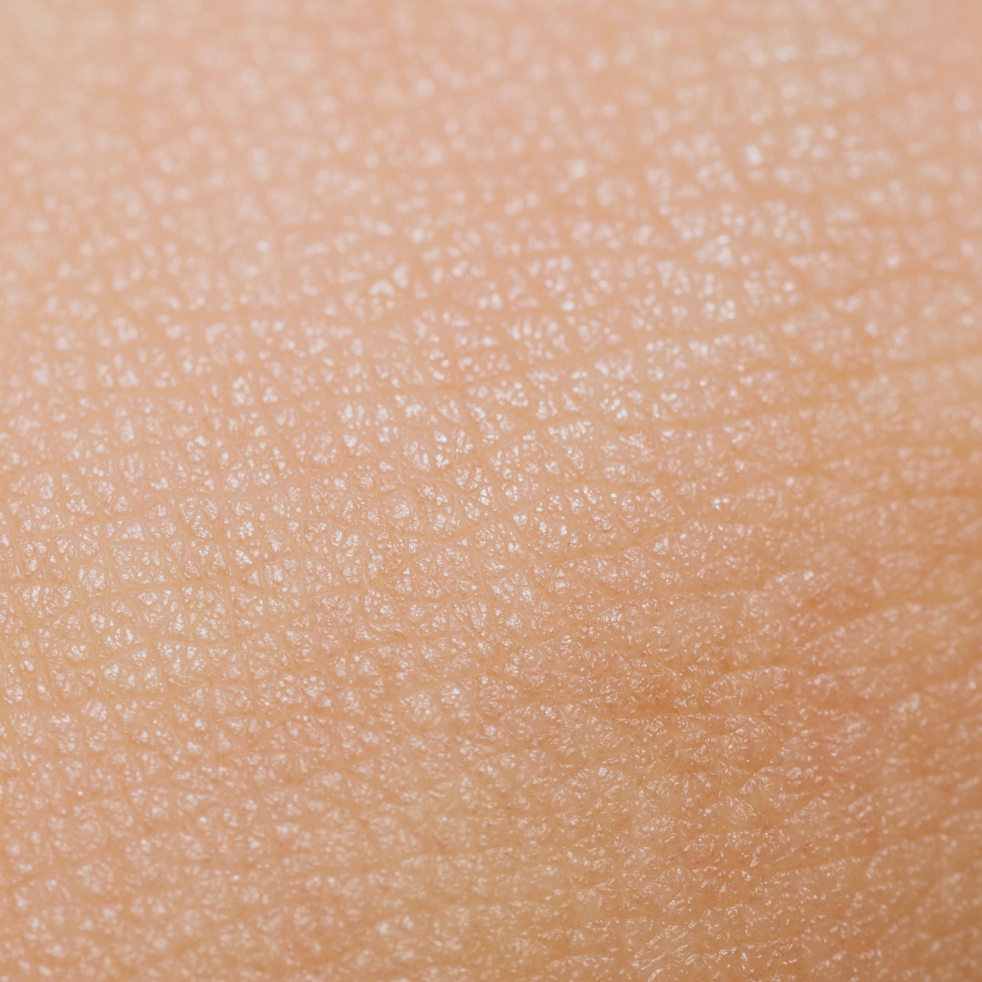 Close-up of human skin texture with pores
